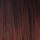 Burgundy Rosa