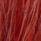 Firestorm Rooted