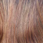 Shaded Amber